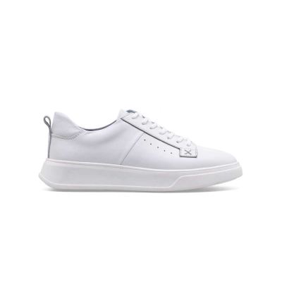 کفش AE423 میانه