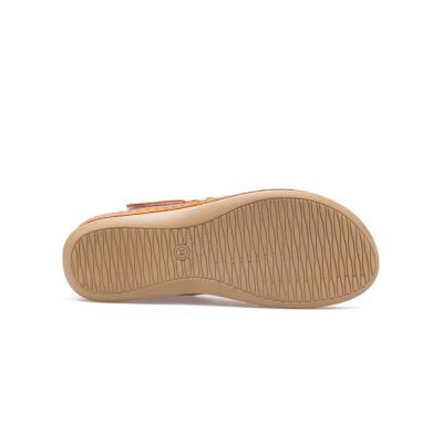 صندل دارسیا زنانه