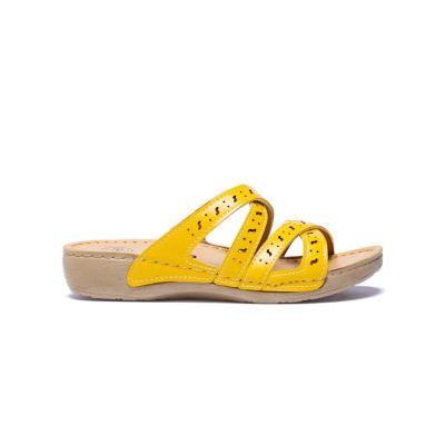 دمپایی پنتی زنانه